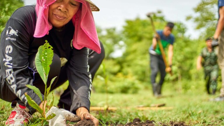 Foundation Receives Pledges To Plant 2.7M Trees In 2025