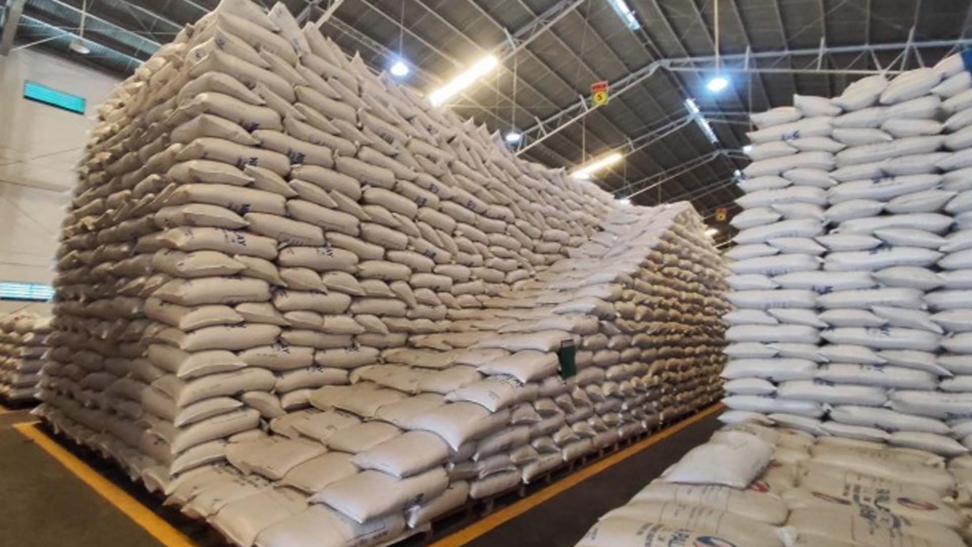 Ilocos Norte’s Rice Buffer Stock Enough Until Next Harvest Season