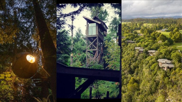 5 Tree Houses If You Wanna Indulge Your Inner Child