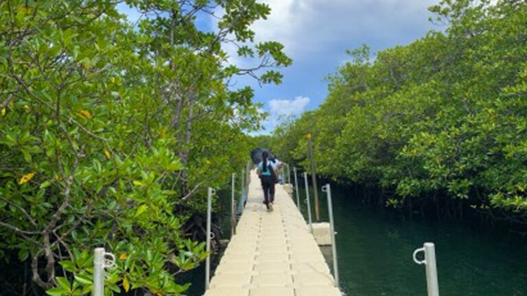 Exploring The Ecological Gem Of Surigao: Day-asan Mangrove Forest
