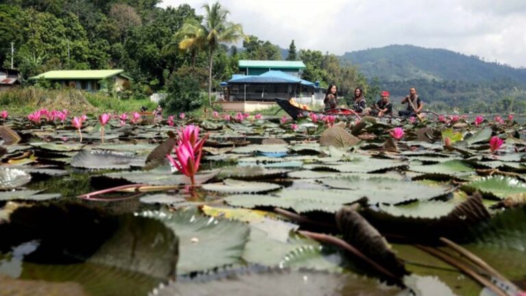 Philippine Tourism Revenue Hits PHP282 Billion; Up 32.8% In H1 Of 2024