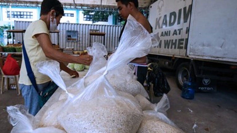 DA Chief Pushes For Year-Round Large-Scale Trial Of PHP29 Rice Program