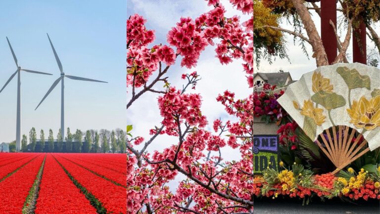 5 Flower Festivals And Events That Are A “Natural” Beauty To Behold