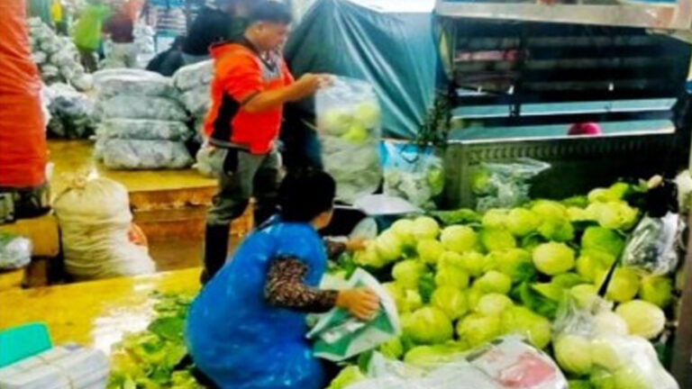 DA-CAR Assures Availability Of Seeds For Calamity-Affected Farmers