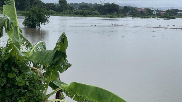 Department Of Agriculture Assures 24/7 DRRM Ops For Disaster-Affected Farmers