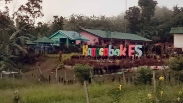 Power Coop Targets Energization Of 34 ‘Sitios’ In Negros Oriental