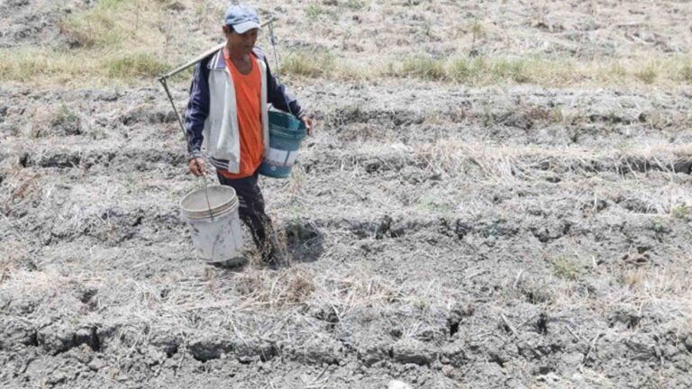 Senator Vows To Boost Public Info On El Niño, La Niña