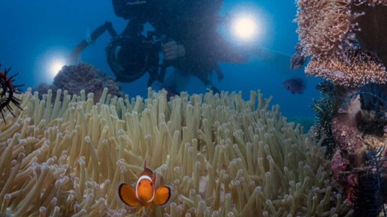 Philippines Wins Best Diving Destination Title At Beijing Expo