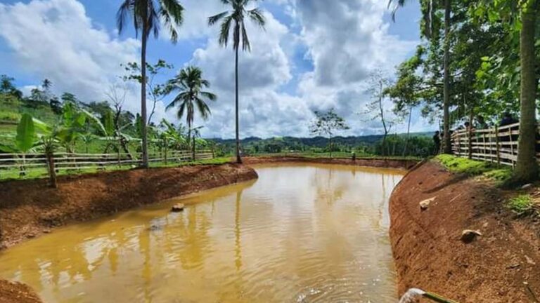 DSWD Completes Over 480 LAWA, BINHI Projects In Eastern Visayas