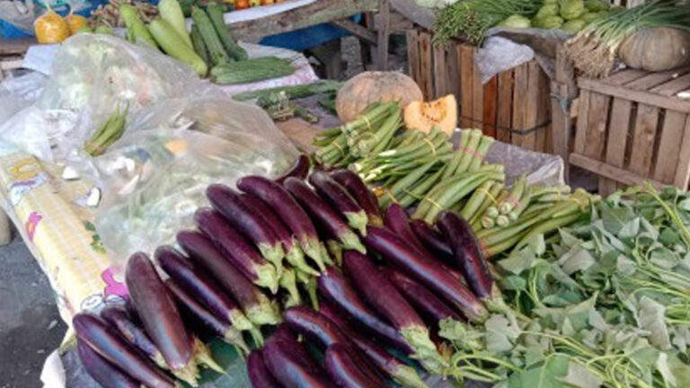 Supply Of Veggie, Fish Remains Stable Despite Carina, Habagat