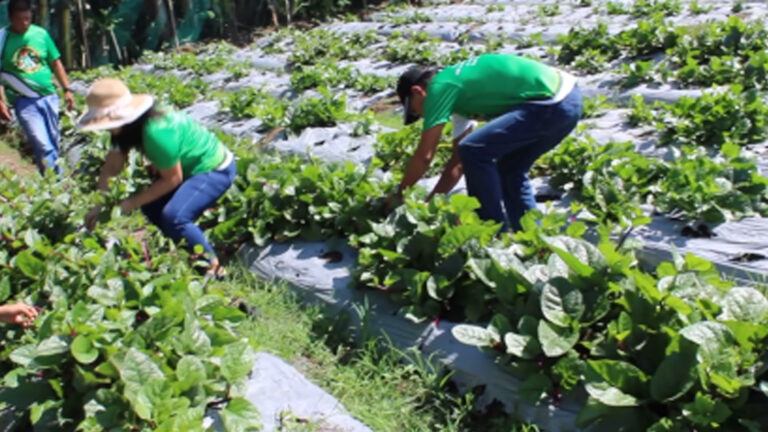 Over 3K Western Visayas Villages To Carry Out HAPAG Project