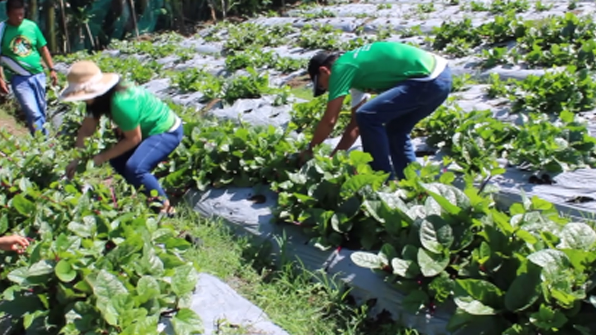 Over 3K Western Visayas Villages To Carry Out HAPAG Project