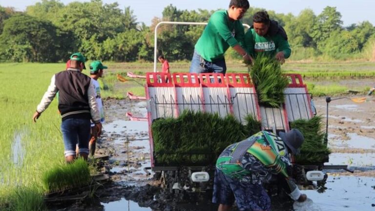 PhilMech To Donate Machinery To Pangasinan’s Corporate Farming Program