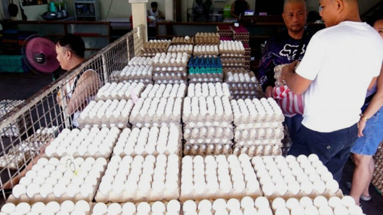 DA Assures Collab With Layer Industry Amid Spiking Egg Prices