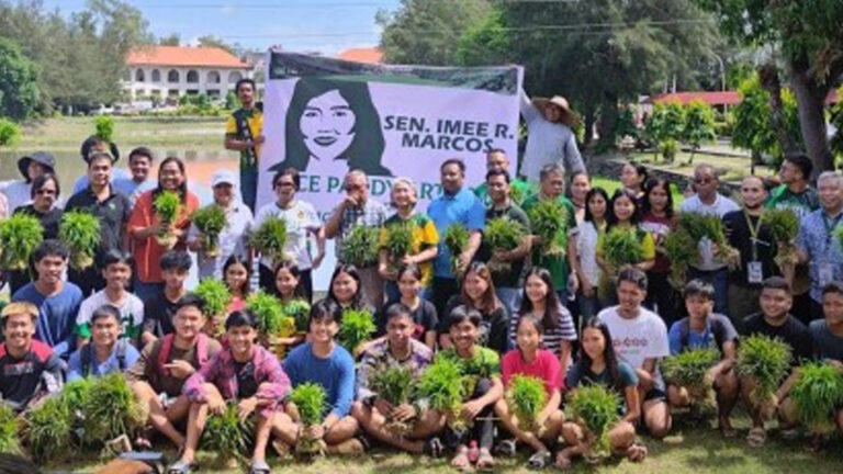 Rice Paddy Art Encourages Use Of High-Yielding Rice Varieties