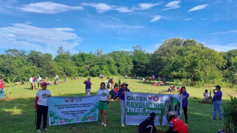 Ilocos Town Hits Half Of 50-Hectare Coconut Plantation Target