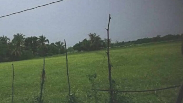 Higher Palay Buying Price Benefits Antique Farmers
