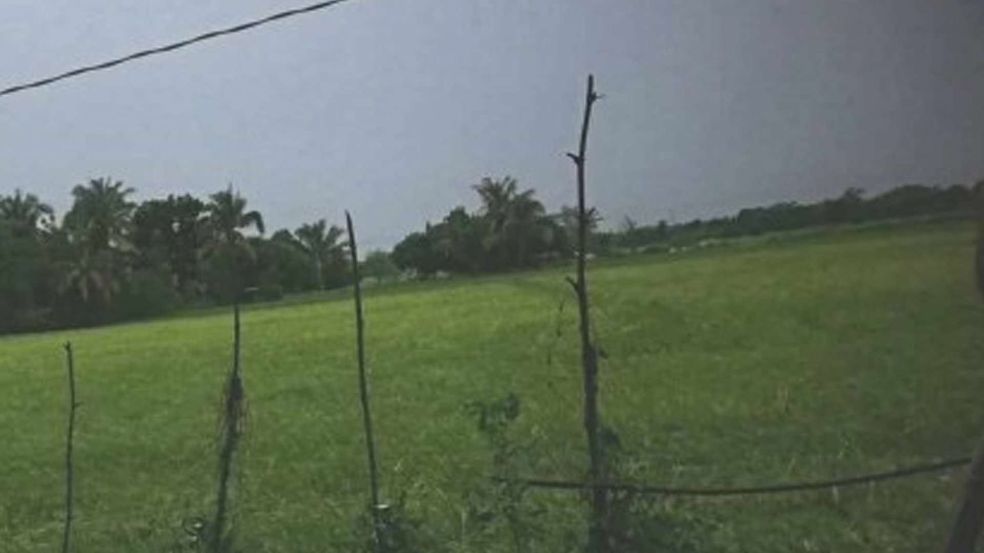 Higher Palay Buying Price Benefits Antique Farmers