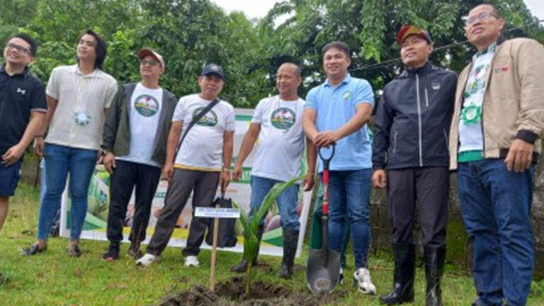 PCA Targets To Plant 300K Coconut Seedlings In Ilocos This Year