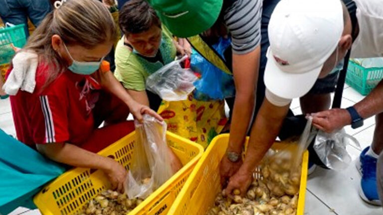 DA Oks Importation Of 16K Metric Tons Yellow Onion To Ensure Stable Prices
