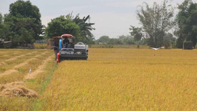Significant Changes In Philippine Agri Expected In 2 To 4 Years