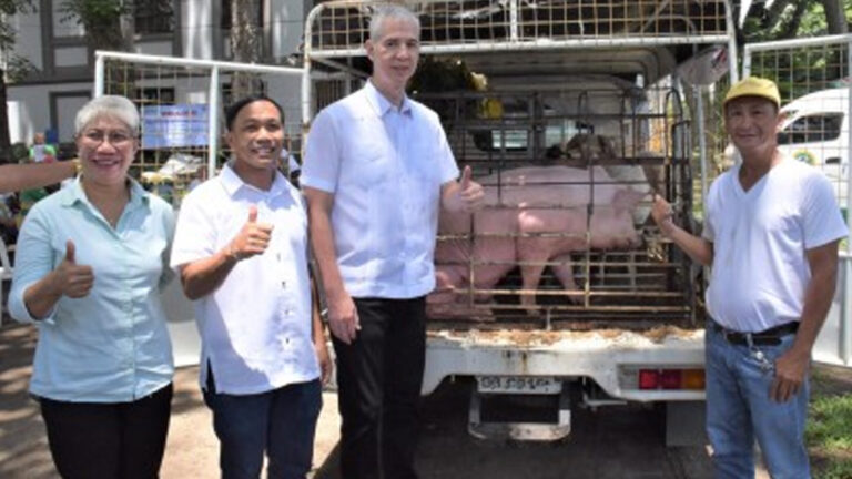 Negros Occidental Hog Raisers Get Breeder Swine For Hog Repopulation