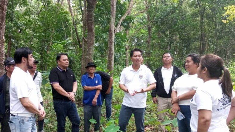 Bacolod City Develops Tree Park As Tourist Site, Economic Enterprise