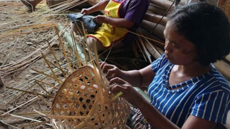 Iloilo Farmers Urged To Engage In Bamboo Growing