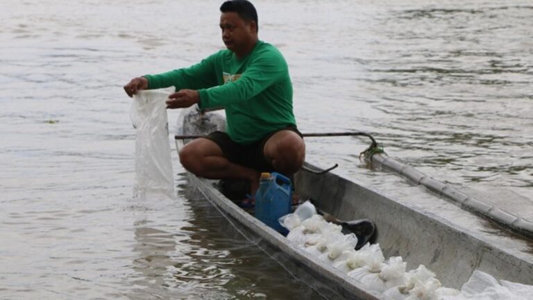 BFAR, Cebu Island Town Institutionalize Multi-Species Hatchery Ops