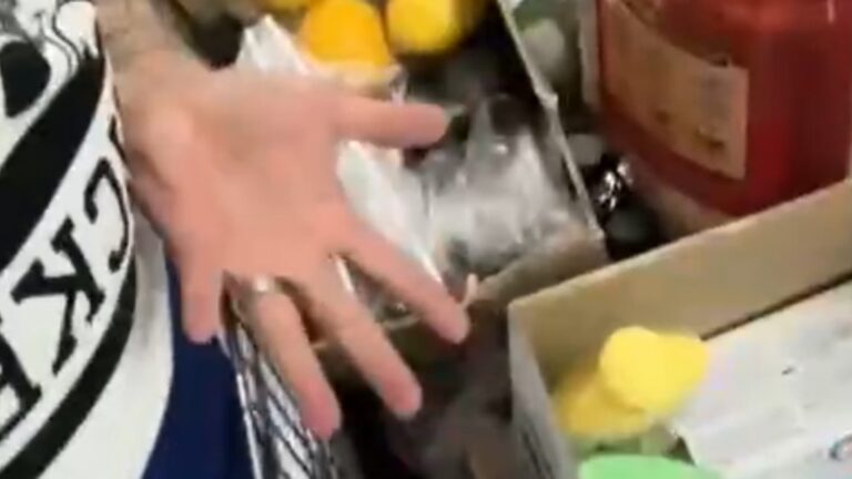 Landers Shoppers’ Tiktok Post Complains Of Poor Packaging