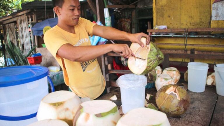 Central Visayas Towns Get Processors For Copra, Virgin Coconut Oil