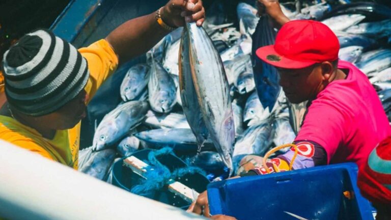 DA-PRDP Approves PHP242 Million Tuna Facilities In Surigao Del Sur