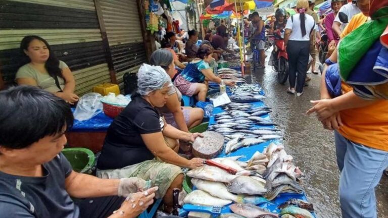 Central Visayas Fisherfolk’s Livelihood Projects Need PHP26.7 Million Funding