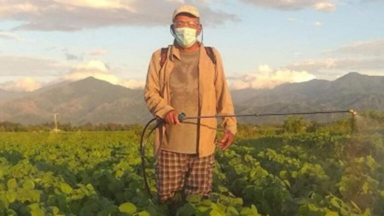 Ilocos Norte Hikes Clustered Farming Program Budget To PHP30 Million