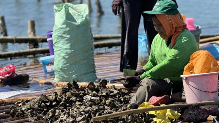 BFAR Ramps Up Shellfish Farming In Central Visayas