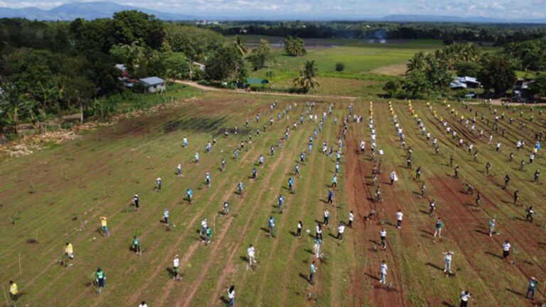 VisMin Gathers 4K Participants, 20K Bamboo Seedlings Planted