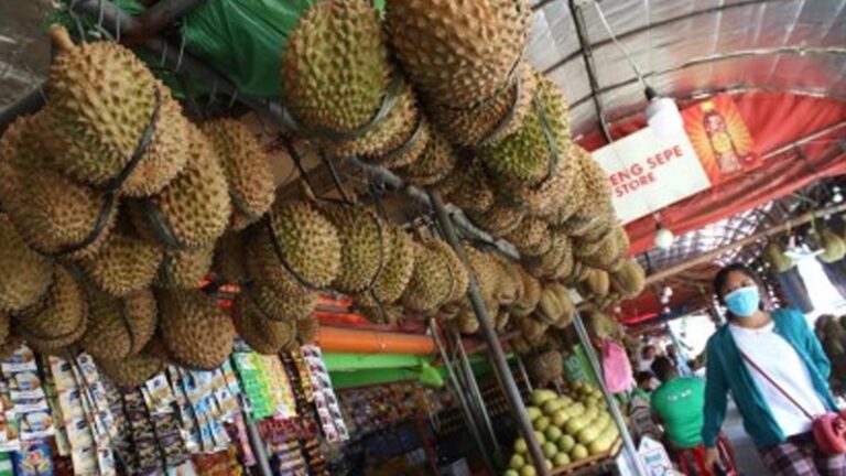 October 23 Durian Summit Aims To Boost Global Market
