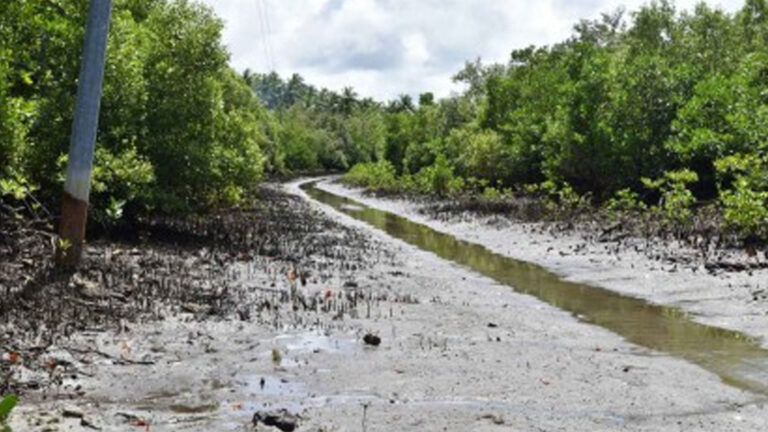 Senator Imee Wants ‘Green Infra’ Included In 2025 Budget To Mitigate Disasters