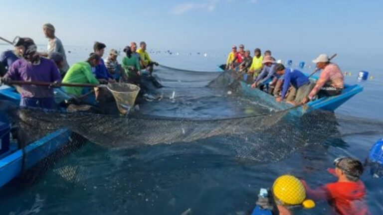 1,400 Farmers, Fisherfolk To Get Free Life Insurance