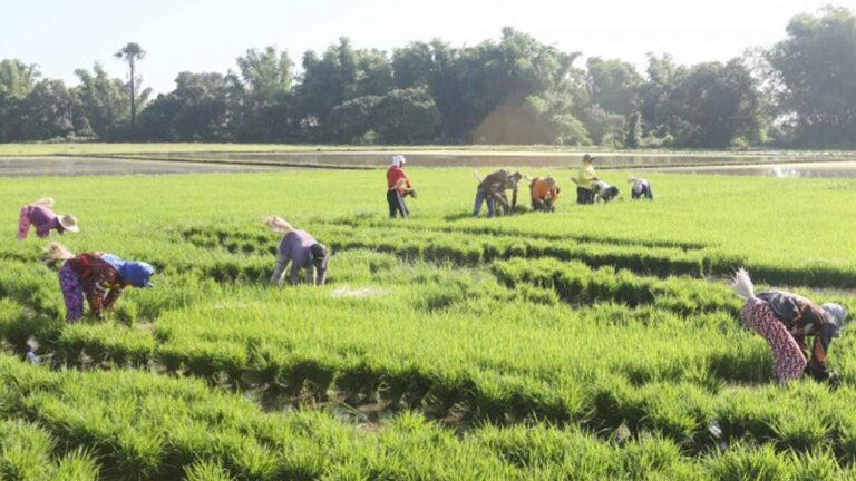 Special Area For Agri Development Expansion To Support More Caraga Farmers