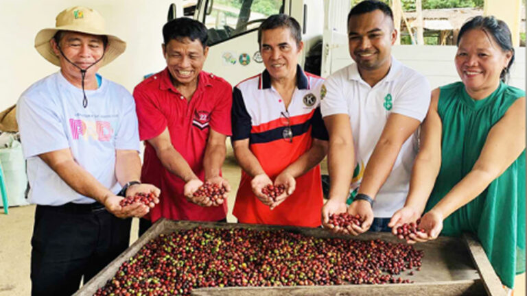 Brewing Success: Agusan Del Norte Coffee Farmers Thrive With Government Aid