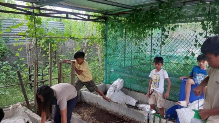 School Garden Nourishes Young Learners In Laoag