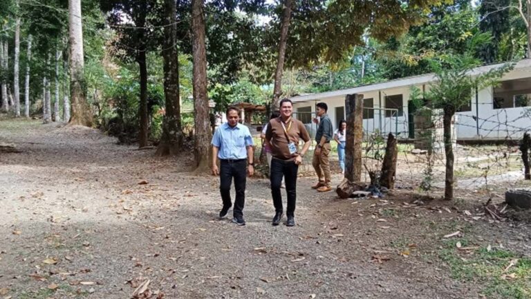 Forest Product Innovation Center To Rise In Leyte