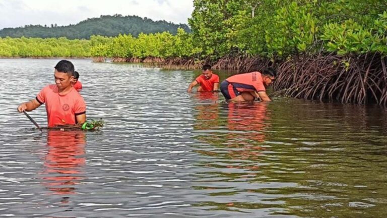 Coast Guard Plants Over 2K Mangroves In Surigao City