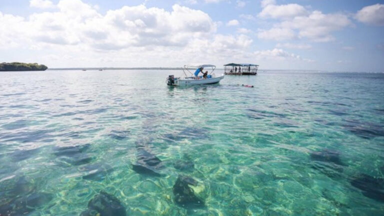 Silaki Island, Philippines Giant Clam Capital To Get Infra Boost