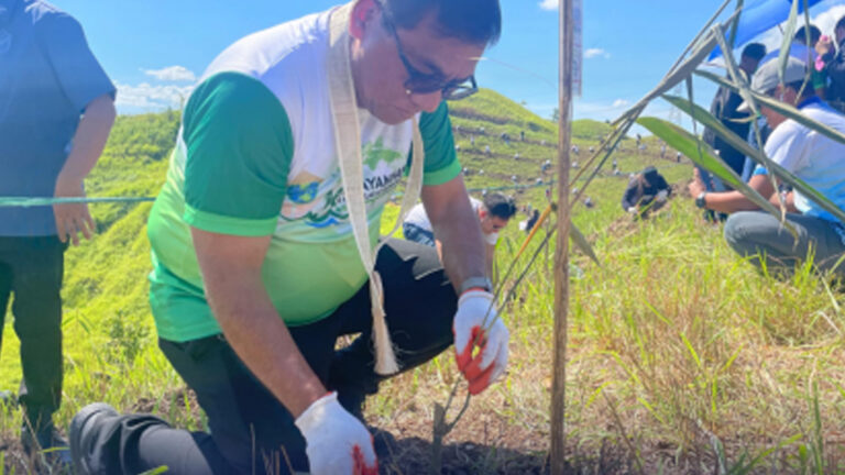 Philippines Sets Guinness World Record For Simultaneous Bamboo Planting