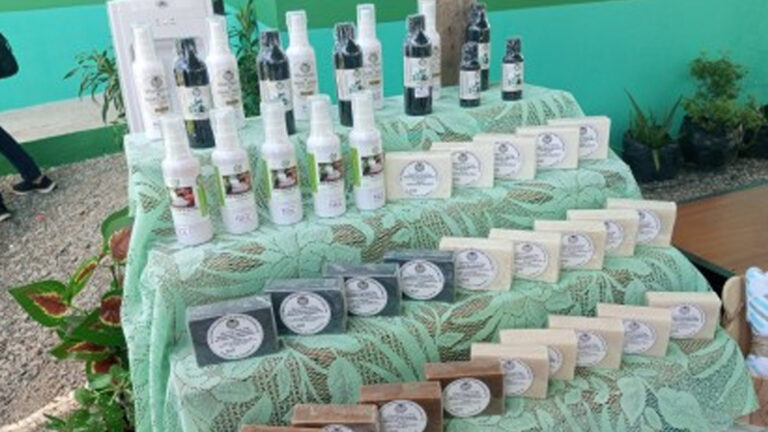 Sipalay City Agrarian Reform Coop Thrives In Natural Soap Production