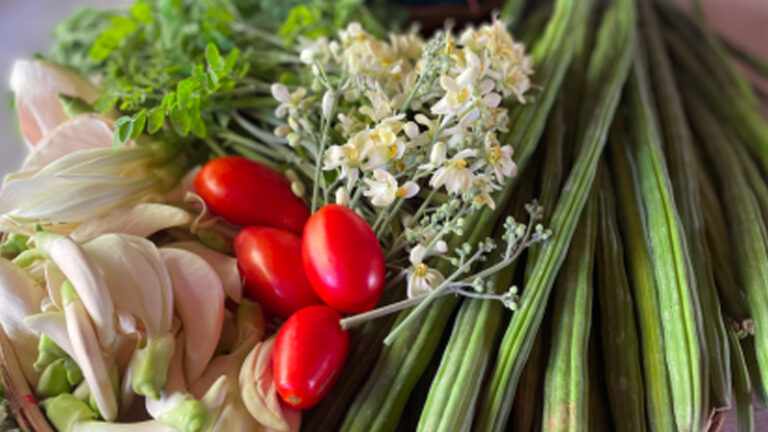 Multisectoral Approach To Nutrition, Healthier Food Eyed