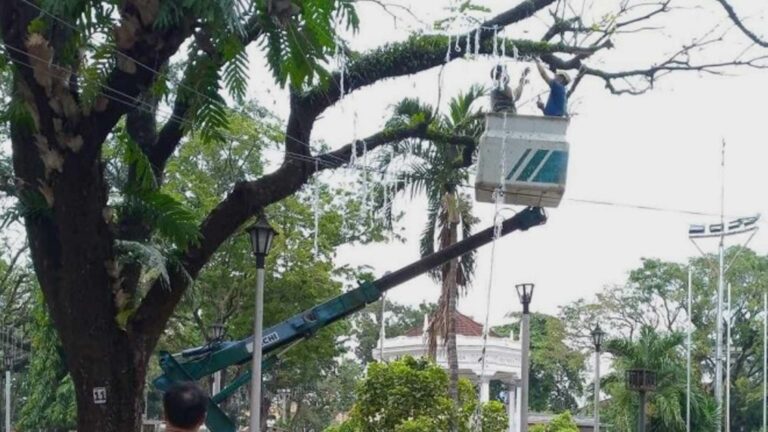 Bacolod City To Light Up Plaza For Christmas Via Adopt-A-Tree Program