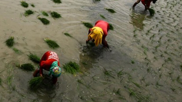 Party-List Group Urges Bicam To Keep 2025 Agri Sector Budget Intact